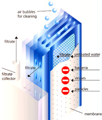 MicroClear Membrane