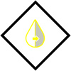 Spruce yellow