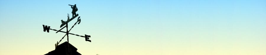 We offer the following Consultancy Services: